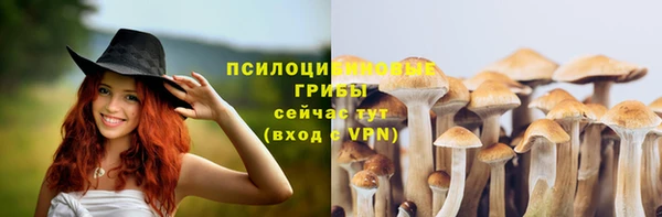 каннабис Абаза
