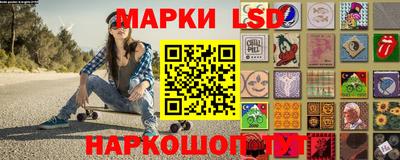 гашик Камышлов