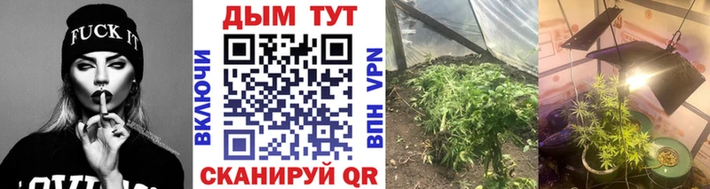 Шишки марихуана MAZAR  Людиново 