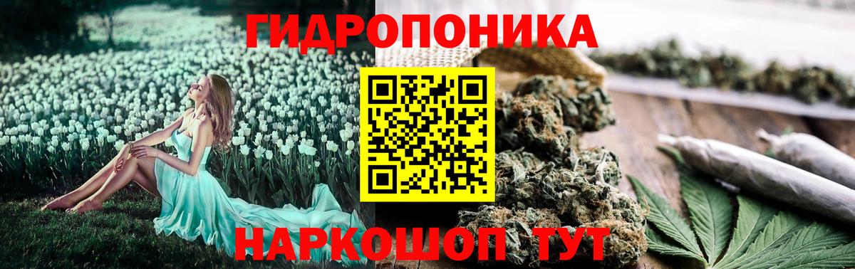 Шишки марихуана Bruce Banner Людиново